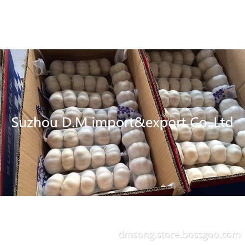 High Quality Chinese Fresh Garlic 5.5 cm
